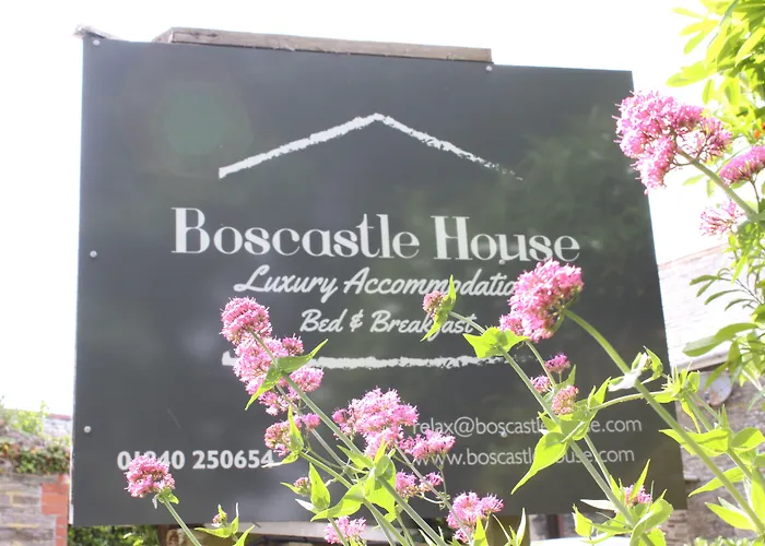 Boscastle House